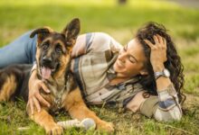 Rights and Responsibilities of Pet Owners in 2024